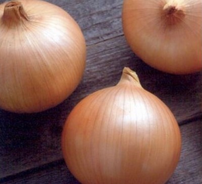 Onion Gibraltar 